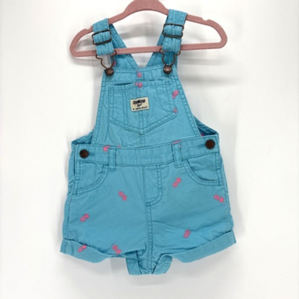 VTG OSHKOSH BGOSH Shortall Girl 18 Mos Sea Isle Blu PINEAPPLE Embroidery Vestbak